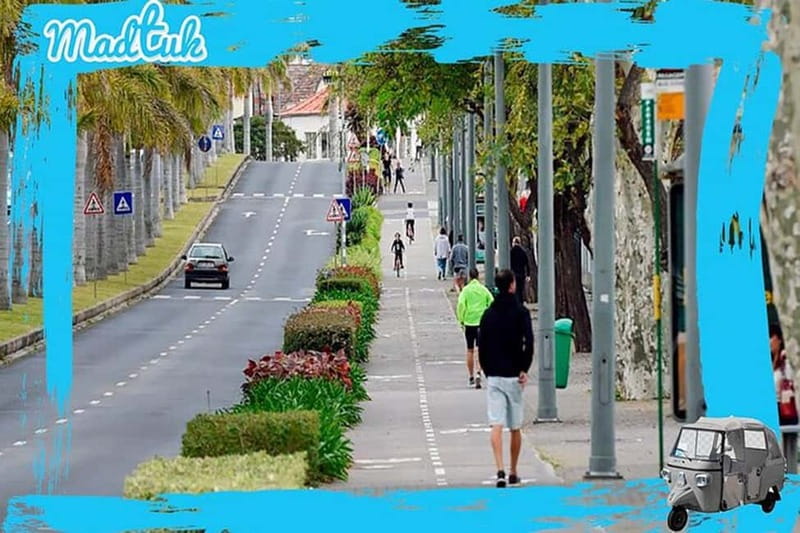 Madeira: Cabo-Girão Skywalk + Câmara de Lobos Tuk-Tuk Tour - Price and Value: $64 Includes the Drive, Not the Skywalk Ticket