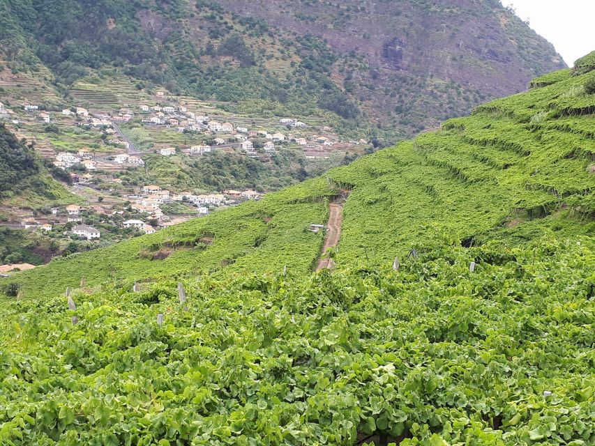 Madeira: Cabo Girão, Wine Tasting, & Serra d'Água Jeep Tour - São Vicente: a calm north stop with a scenic feel