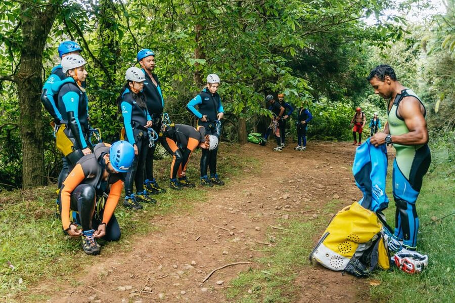 Madeira Canyoning Beginners – Easy & Fun Waterfall Adventure - What you see down in the canyon: treebeards, endemic plants, and UNESCO context
