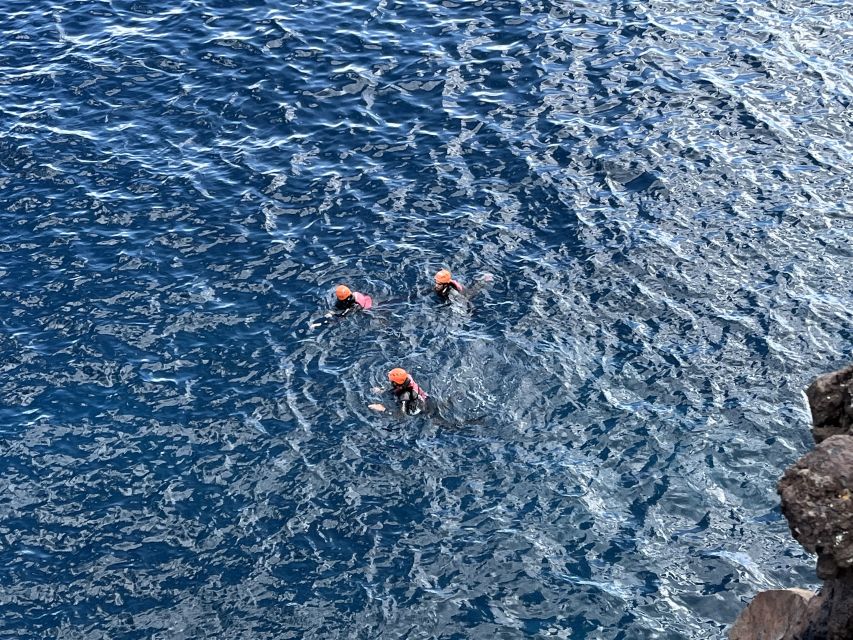 Madeira Coasteering and Cliff Jumping Thrill & Adventure - Should You Book Madeira Coasteering and Cliff Jumping with Lokoloko?