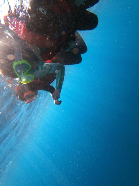Madeira: Coasteering Tour - Key highlights you’ll feel fast