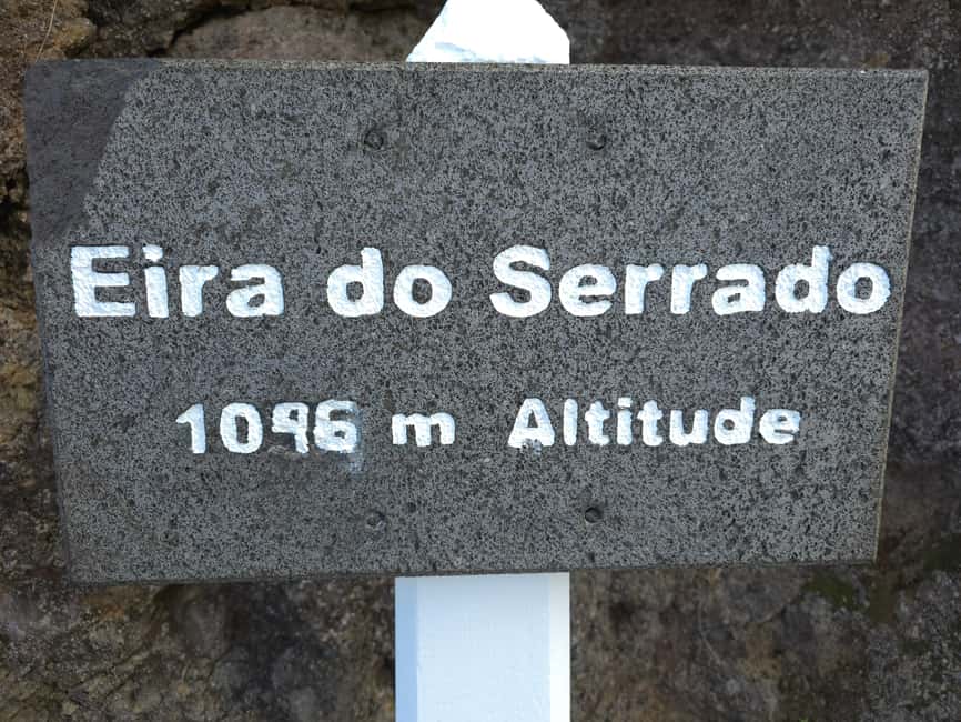 Madeira: Curral das Freiras & Câmara de Lobos Tour - The Return Route: Estreito de Câmara de Lobos and Vineyard Photos
