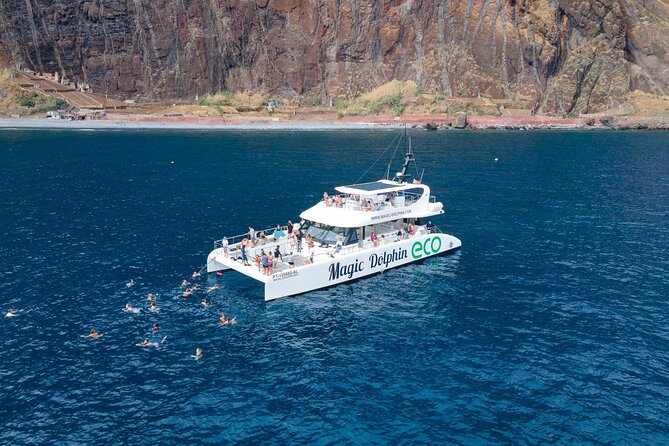 Madeira Dolphin and Whale Watching on a Ecological Catamaran - Quick highlights before you go
