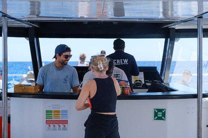 Madeira Dolphin and Whale Watching on a Ecological Catamaran - The 3-hour flow from Magic Dolphin dock to open water