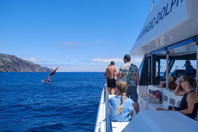 Madeira Dolphin and Whale Watching on a Ecological Catamaran - Should you book Magic Dolphin for Madeira dolphins and whales?