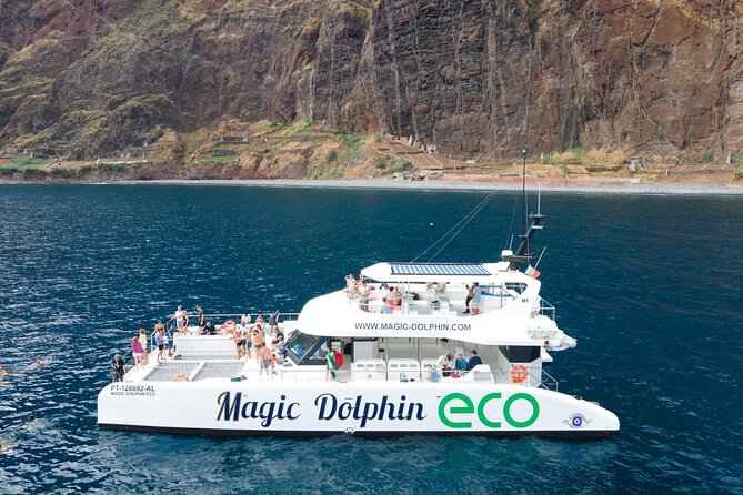 Madeira Dolphin and Whale Watching on a Ecological Catamaran - Spotters, binoculars, and hybrid-electric cruising for better sightings