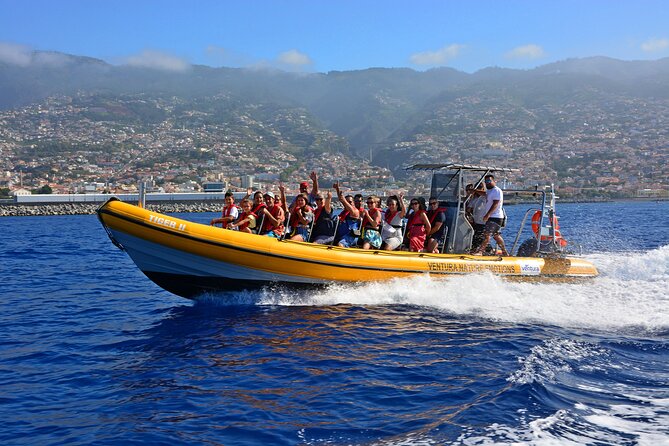 Madeira Dolphin & Whale Watching Tour - Key highlights worth your time