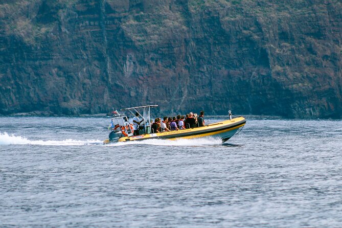 Madeira Dolphin & Whale Watching Tour - Value at about $58: what you’re paying for (and why it can be worth it)