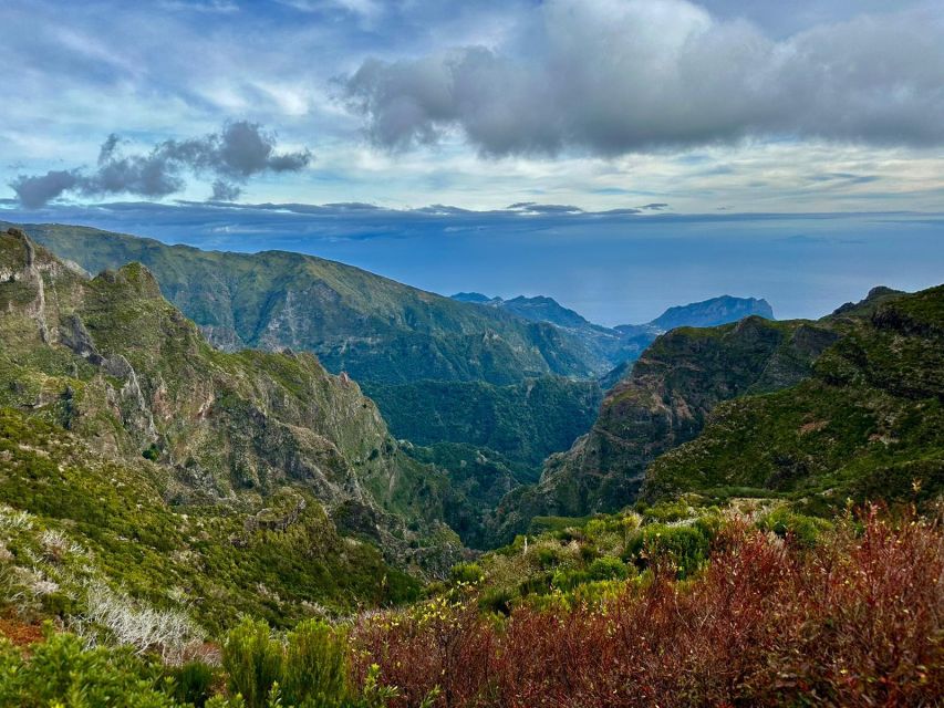 Madeira : East Tour - Santana North Side - Ponta de São Lourenço and Ponta do Rosto: cliffs that feel endless