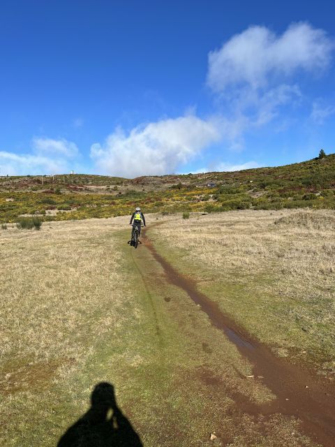 Madeira Easy Levada Biking Tour – Scenic & Relaxed - Terrace farms, eucalyptus air, and the island’s everyday wildlife