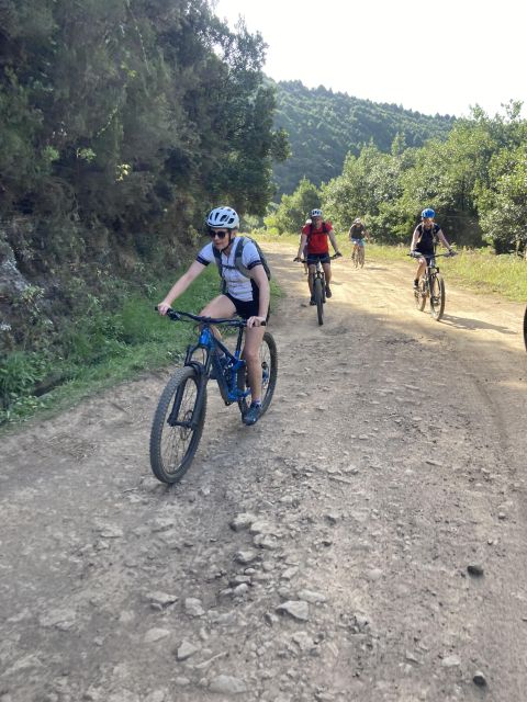 Madeira Easy Levada Biking Tour – Scenic & Relaxed - UNESCO laurel forest and the big Madeira views you can actually enjoy