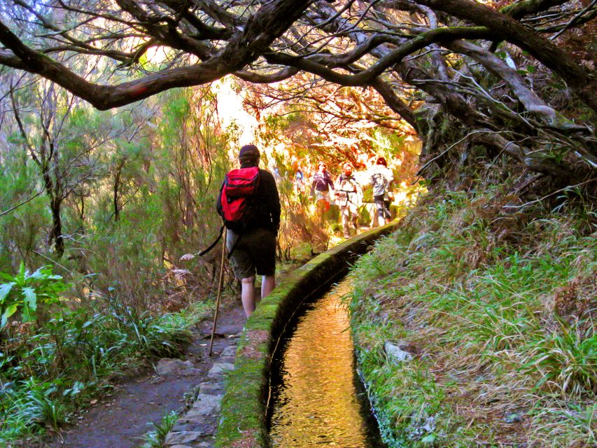 Madeira: Enjoy a Guided Levada Walk in the Rabaçal Valley - Moorland at the top: the quiet between the busy moments