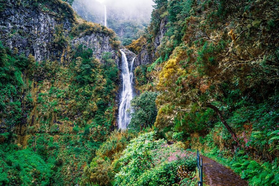 Madeira: Enjoy a Guided Levada Walk in the Rabaçal Valley - Getting from Funchal to the trail start without renting a car