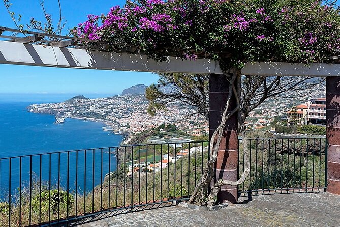 Madeira Essence Half Day Tour for Cruises - A well-timed half-day circuit for cruise ports