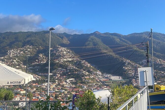 Madeira Essence Half Day Tour for Cruises - Mallassada Boutique: Madeira wine and the sweets you’ll remember