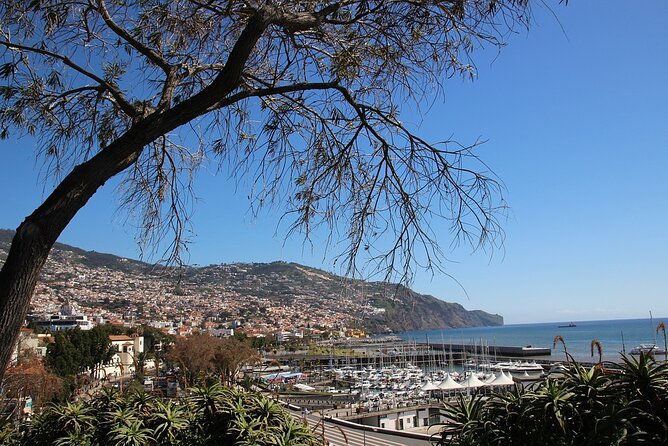Madeira Essence Half Day Tour for Cruises - Price and value: why $42 can work on a cruise day
