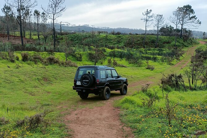 Madeira: Experiência 4WD Skywalk para Seixal Porto Moniz, Fanal - Key highlights at a glance