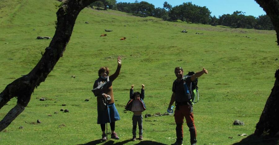 Madeira: Fanal Forest Guided Hiking Tour - Why Fanal Forest feels different from other Madeira walks