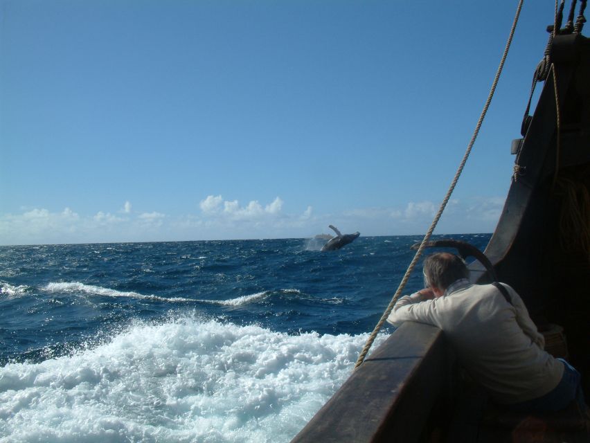 Madeira: Flag Ship Tour aboard Santa Maria de Colombo - Who This Tour Suits Best (and Who Should Skip It)