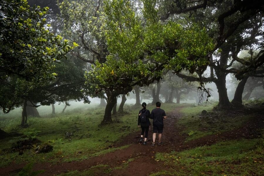 Madeira : Full Day Adult-only west 4x4 Tour - Key highlights you’ll care about
