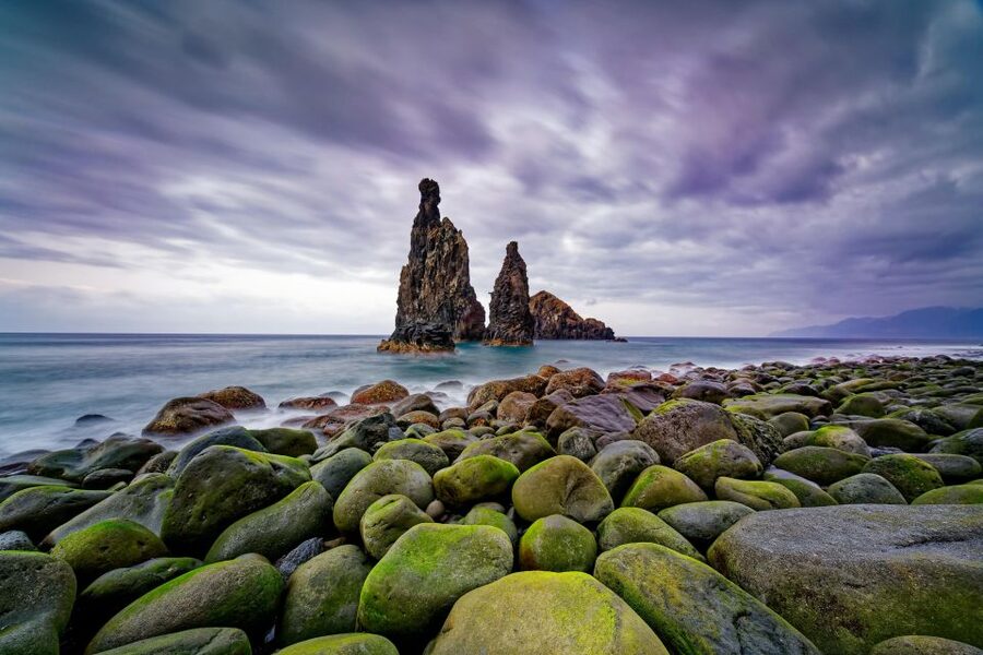 Madeira: Full-Day Jeep Tour, Natural Pools, Seixal & Fanal - Who this tour is best for (and who should skip it)