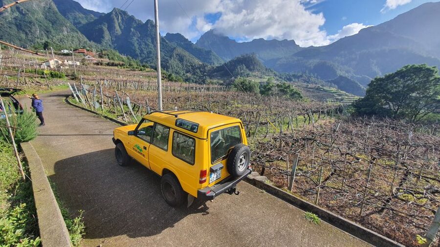 Madeira: Full-Day Jeep Tour with Guide and Pickup - Value check: is $78 worth it for this much variety?