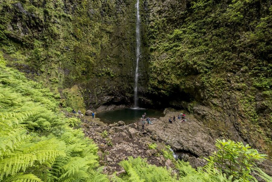 Madeira: Full-Day Laurel Forest Guided Walking Tour - Caldeirão Verde Waterfall: Break Time With a Big Visual Payoff