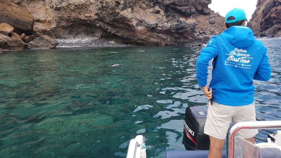 Madeira: Full-Day of Activities in Ponta de São Lourenço - Price and Value: Is $85 Worth It for a 5-Hour Day?
