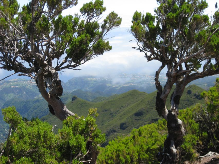Madeira: Full-Day Pico Ruivo / Achada do Teixeira Walk - Ascending to Pico Ruivo: the island’s highest point moment