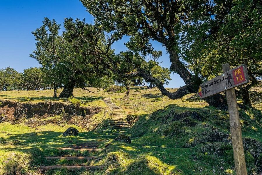 Madeira: Full-Day Porto Moniz Jeep Tour - Cabo Girão skywalk and Ponta de Sol: your warm-up for the north coast