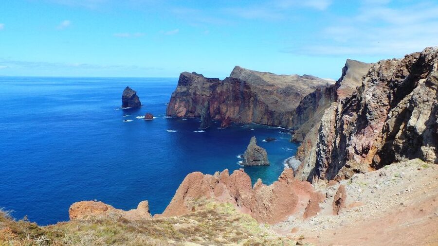 Madeira: Full Day Private Jeep Tour East or West - Fanal forest: the quiet, misty stop that feels like a reset