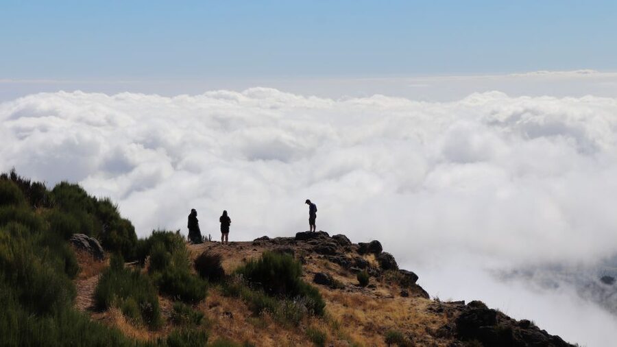 Madeira: Full Day Private Jeep Tour East or West - East or West Madeira: choosing your best day