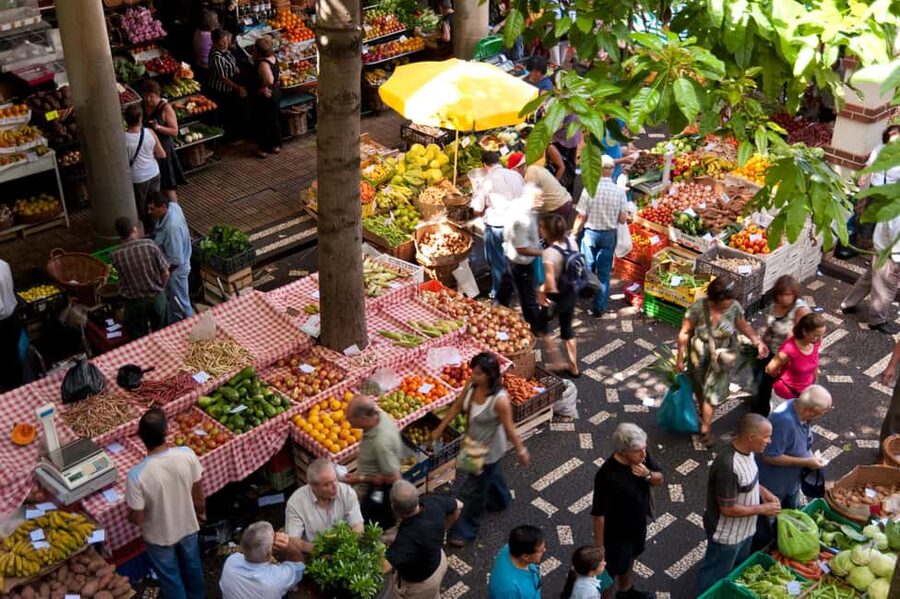 Madeira: Funchal's Eco Private City Tour - Price and value: what $129 per group covers