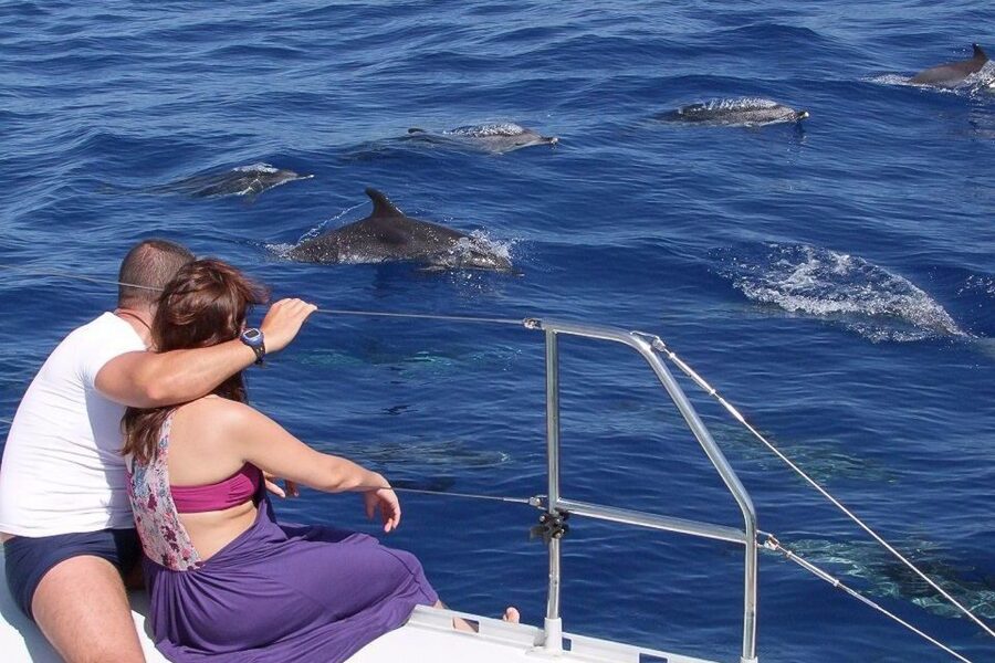 Madeira: Funchal Sunset Tour by Catamaran - Key things that make this cruise worth your time