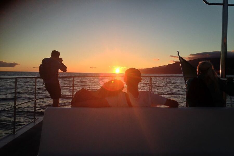 Madeira: Funchal Sunset Tour by Catamaran - Funchal Marina Check-In: Where You Start and How You Get Best Seats