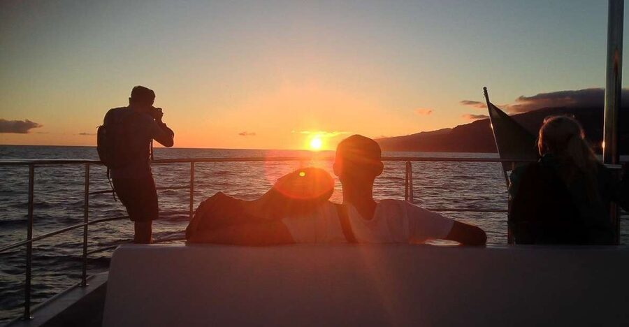 Madeira: Funchal Sunset Tour by Catamaran - South Coast Sailing: Sunset Views That Only Happen From the Water