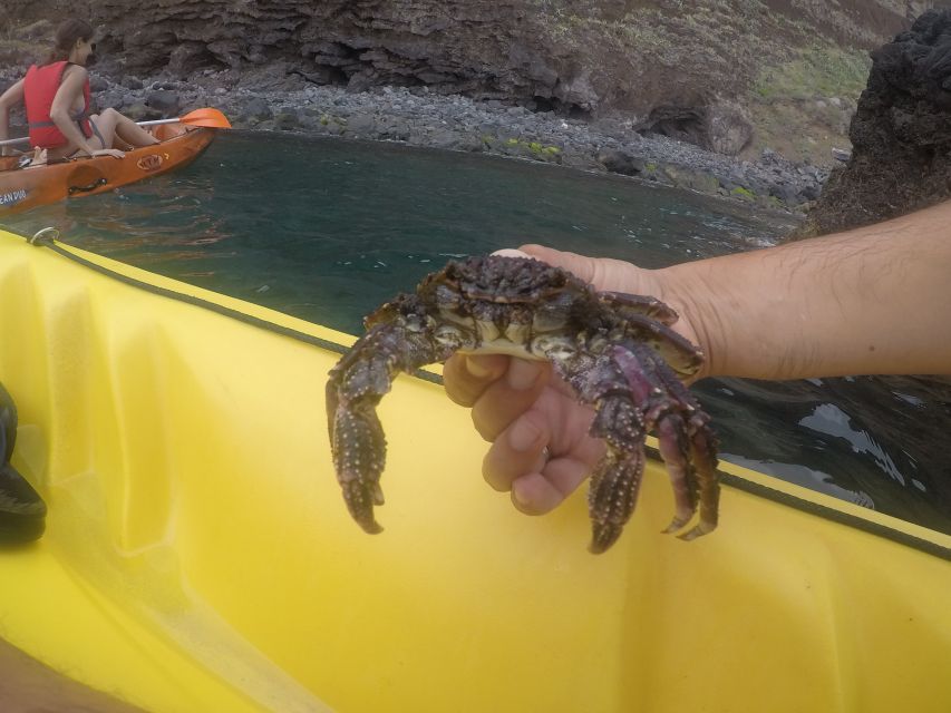 Madeira: Garajau Nature Reserve Kayak and Snorkel Tour - Snorkeling in crystal-clear Garajau waters: fish, visibility, and a few surprises