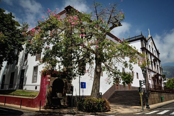 Madeira Grand Experience by Tukxi, Private Tour - How the 6-Hour Day Gets Structured (Without Feeling Rushed)