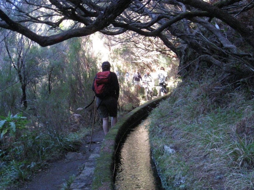 Madeira: Guided Full-Day Rabaçal Walk - Risco Waterfall: the sound break before the levada work