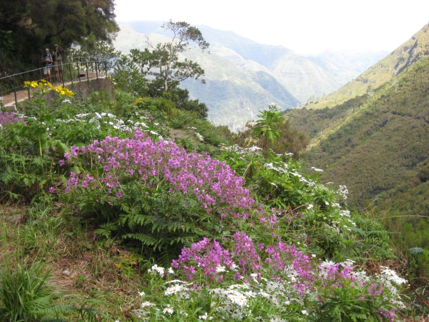 Madeira: Guided Full-Day Rabaçal Walk - Price and value: what $53 gets you in real terms