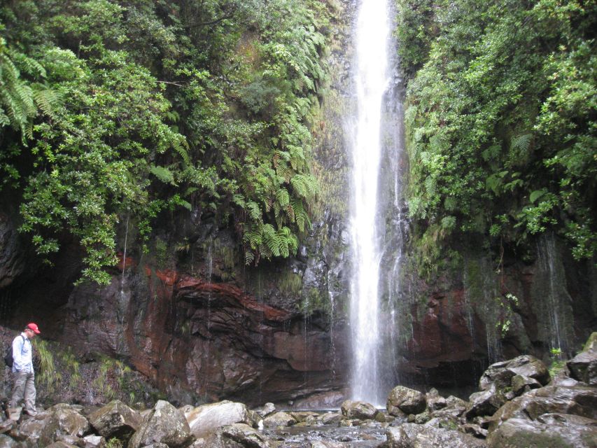 Madeira: Guided Full-Day Rabaçal Walk - Who this walk suits best (and who should skip it)