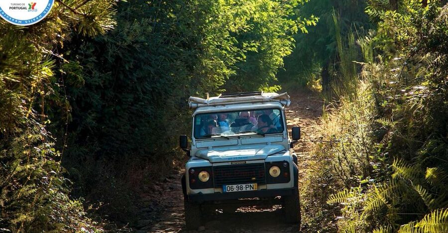 Madeira: Half-Day Nun's Valley and Sea Cliff Tour - Jardim da Serra: where the Nun’s Valley scenery becomes real
