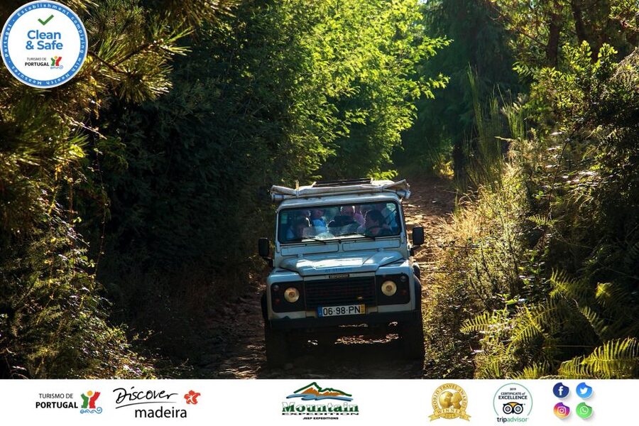 Madeira: Half-Day Nun's Valley and Sea Cliff Tour - Cabo Girão cliff stop: your chance to slow down and look