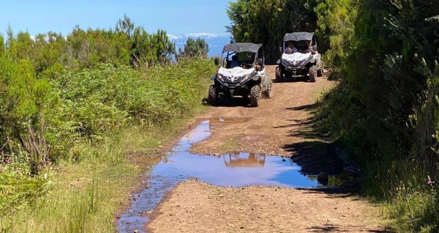 Madeira: Half-Day Off-Road Buggy Tour - When Weather Turns: How to Make Rain or Wind Work for You
