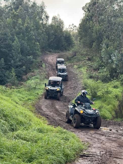 Madeira: Half-Day Off-Road Buggy Tour - The Terrain Reality Check: Mud, Dust, Rocks, and Water