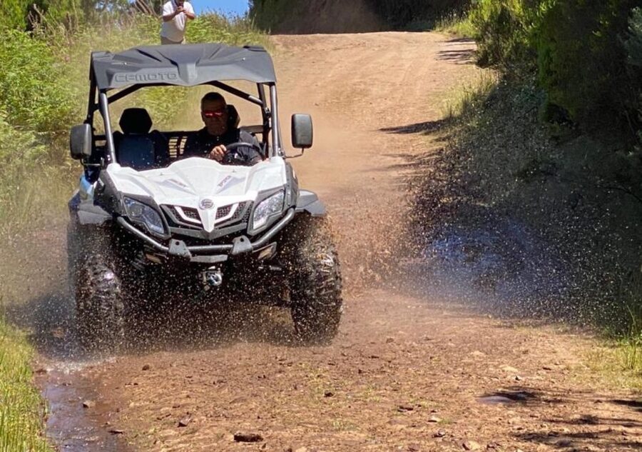 Madeira: Half-Day Off-Road Buggy Tour - Birds of Prey and Local Stops: More Than Just Driving