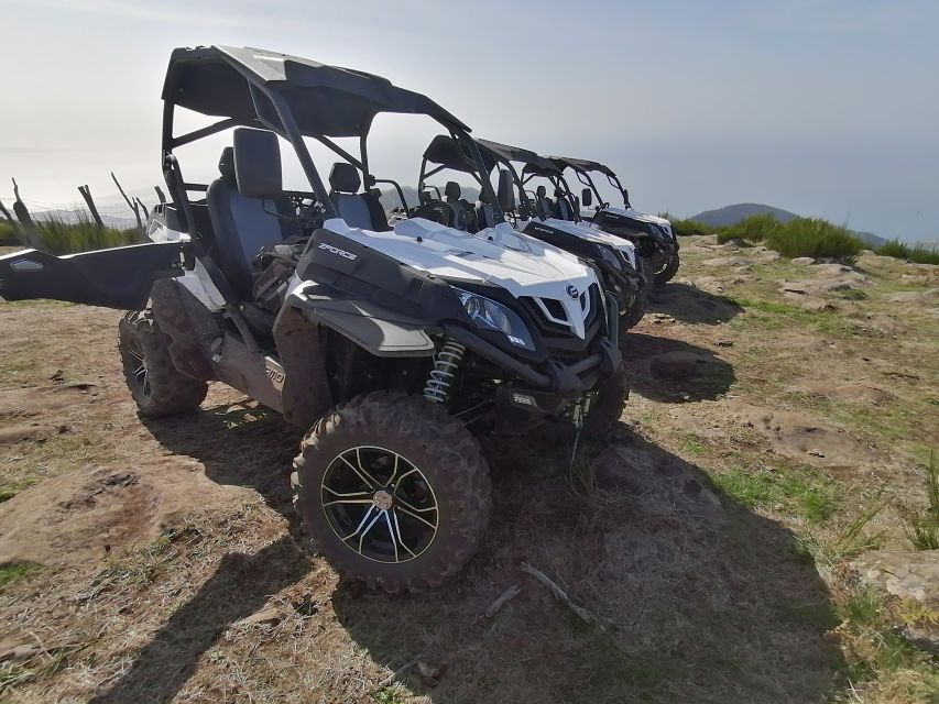 Madeira: Half-Day Off-Road Buggy Tour - Price and Value: Is $159 for Up to 2 a Good Deal?