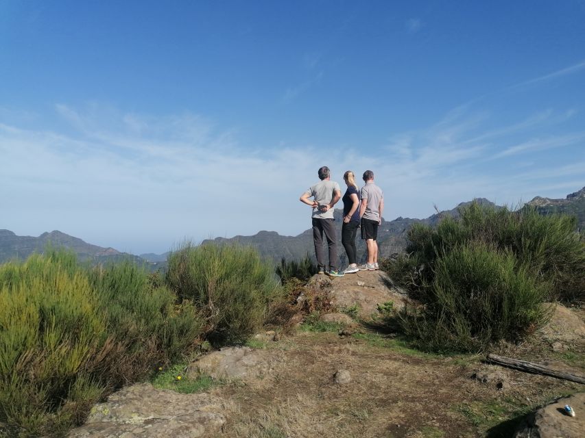 Madeira: Half-Day Off-Road Buggy Tour - Who Should Book This Tour (and Who Should Skip It)
