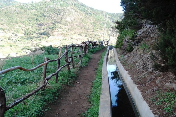 Madeira: Half-Day Private Walking Tour to Levada do Caniçal and Machico - Heading Out From the Caniçal–Machico Tunnel Area