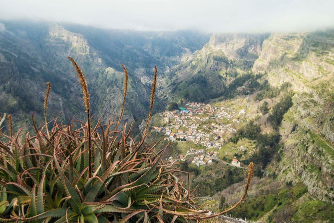 Madeira Half Day Small-Group Tour from Funchal - Guide Style Makes the Difference (Names You Might Hear)